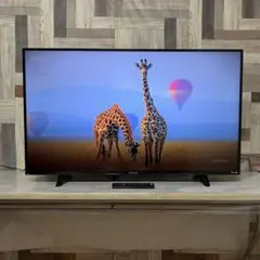 2026年最新】funai 50型テレビの人気アイテム - メルカリ