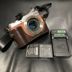 2026年最新】lumix gf1 ボディケースの人気アイテム - メルカリ