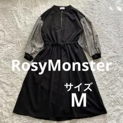 2026年最新】rosyMonster ワンピースの人気アイテム - メルカリ