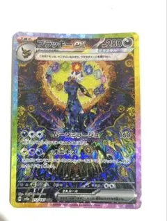 2026年最新】ブラッキーsarの人気アイテム - メルカリ