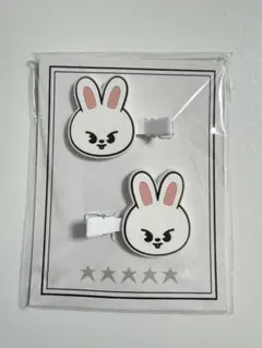 2026年最新】SKZOOクリップの人気アイテム - メルカリ