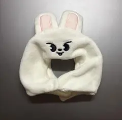 2026年最新】leebit ペンライトカバーの人気アイテム - メルカリ