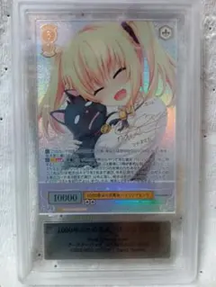 2026年最新】1000年ぶりの再会 パトリシア＆ノラ SSPの人気アイテム