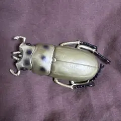 2026年最新】オウゴンオニクワガタの人気アイテム - メルカリ