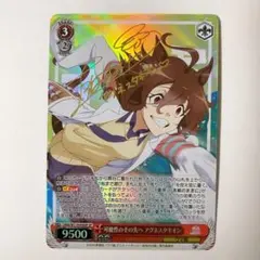 2026年最新】可能性のその先へアグネスタキオンの人気アイテム - メルカリ