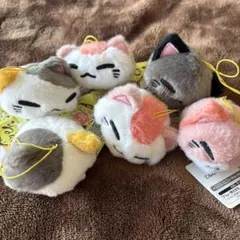 2026年最新】ねむネコ ぬいぐるみの人気アイテム - メルカリ