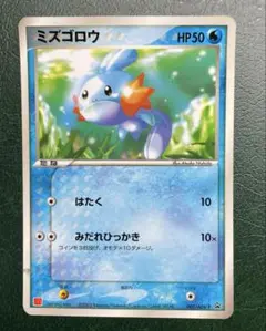 2026年最新】ミズゴロウ プロモの人気アイテム - メルカリ