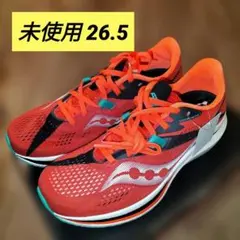 2026年最新】サッカニー エンドルフィンプロ2の人気アイテム - メルカリ