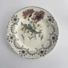 2026年最新】ショワジールロワ 切り花の人気アイテム - メルカリ