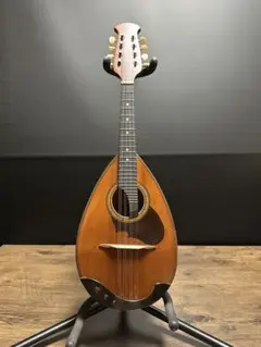 2026年最新】SUZUKI マンドリン m-210の人気アイテム - メルカリ