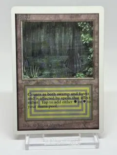 2026年最新】mtg bayouの人気アイテム - メルカリ