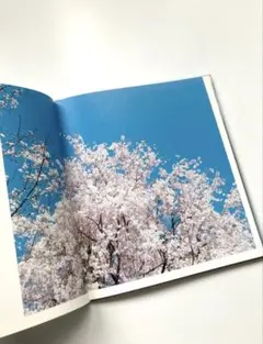 2026年最新】鈴木理策の人気アイテム - メルカリ