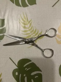 2026年最新】ミンクシザーの人気アイテム - メルカリ