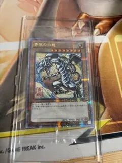 2026年最新】ブルーアイズホワイトドラゴンクオシクの人気アイテム