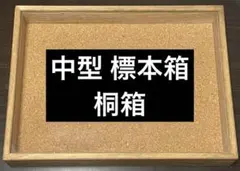 2026年最新】標本箱 ドイツの人気アイテム - メルカリ
