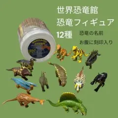 2026年最新】国立科学博物館の人気アイテム - メルカリ