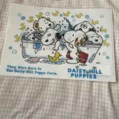2026年最新】デイジーヒルパピーズの人気アイテム - メルカリ