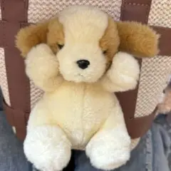 2026年最新】ANIMAL alleyの人気アイテム - メルカリ