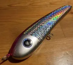 2026年最新】ローカルスタンダード サージベイト170の人気アイテム