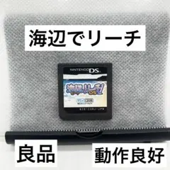 2026年最新】海辺 でリーチ! DSの人気アイテム - メルカリ