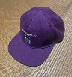 2026年最新】ダイナソーjr キャップの人気アイテム - メルカリ