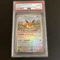 2026年最新】テラスタルフェス イーブイ psaの人気アイテム - メルカリ