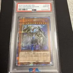 2026年最新】創世龍 遊戯王 万物の人気アイテム - メルカリ