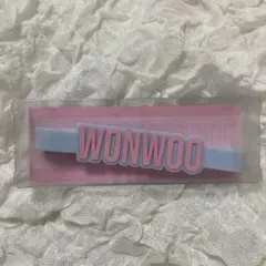 2026年最新】Wonwoo ペンライトの人気アイテム - メルカリ