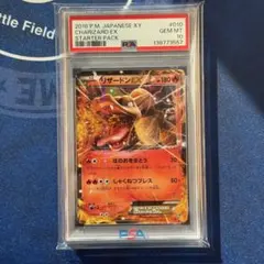 2026年最新】リザードンeX psa10 20thの人気アイテム - メルカリ
