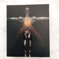 2026年最新】tool salivalの人気アイテム - メルカリ