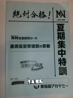 2026年最新】NN桜蔭の人気アイテム - メルカリ