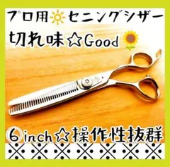 新品】IPS セニングシザー すきバサミ 美容師用 NETWORK 箱付き - メルカリ