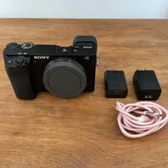 2026年最新】α6100の人気アイテム - メルカリ