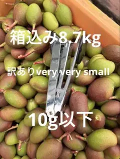 2026年最新】摘果マンゴーの人気アイテム - メルカリ