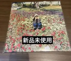 2026年最新】銀杏boyz レコード 光のの人気アイテム - メルカリ