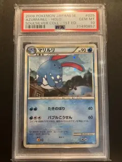 2026年最新】マリルリ psa10の人気アイテム - メルカリ