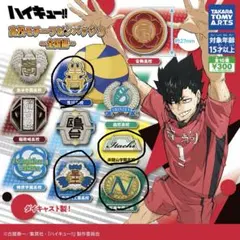 2026年最新】ハイキュー 全巻 ピンズの人気アイテム - メルカリ