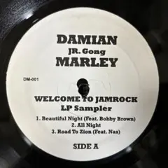2026年最新】Damian marley レコードの人気アイテム - メルカリ