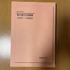 2026年最新】問題集 東大 鉄緑会 現代文の人気アイテム - メルカリ