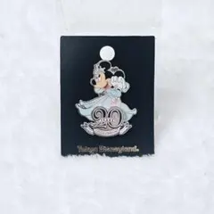 2026年最新】東京ディズニーランド 5周年記念 ピンバッジの人気