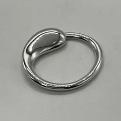 2026年最新】エターナルサークルキーリングの人気アイテム - メルカリ