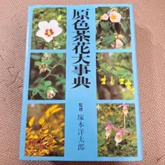 2026年最新】茶花大事典の人気アイテム - メルカリ