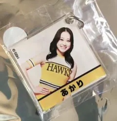 2026年最新】若鷹 ハニーズの人気アイテム - メルカリ