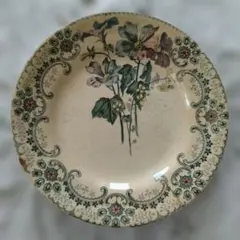 2026年最新】ショワジールロワ 切り花の人気アイテム - メルカリ