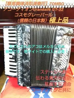 2026年最新】TOMBO T32の人気アイテム - メルカリ