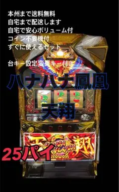 ツインドラゴンハナハナ 中古 データカウンター付き 受け渡しのみ対応