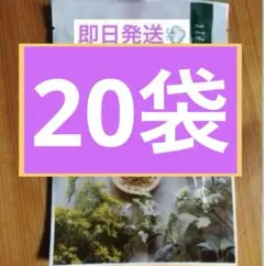 2026年最新】yosa ハーブの人気アイテム - メルカリ