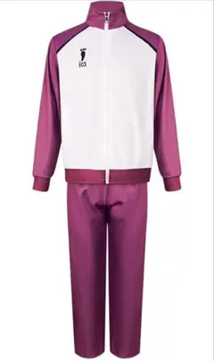 2026年最新】白鳥沢 ジャージの人気アイテム - メルカリ