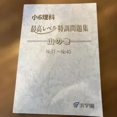 2026年最新】浜学園 小6 最高レベル特訓 テキストの人気アイテム