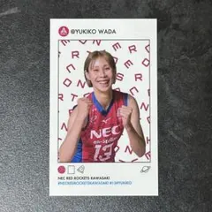 2026年最新】和田由紀子の人気アイテム - メルカリ